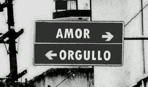 LainoSergio tweet picture