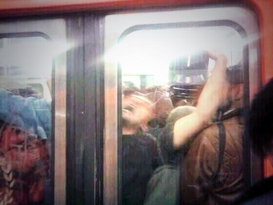 CDMXMetro's tweet photo. ¡TORIIIIIIIITOOOOOOOO! http://t.co/NnykIuFxQI