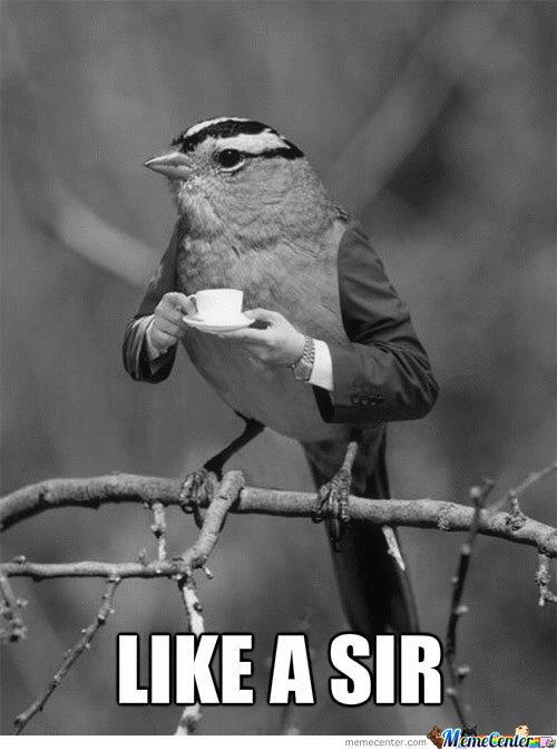 Drinking tea is much more than "for the birds" - get it? #happyfriday