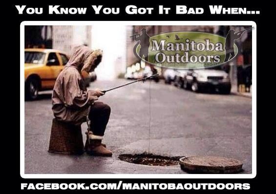 Manitoba Outdoors tweet media