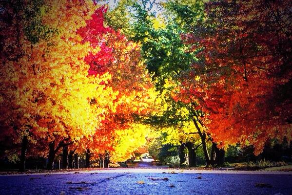 mycatharticlife's tweet photo. @KarliRitter taken in Independence, MO yesterday afternoon http://t.co/oprM21GzFl