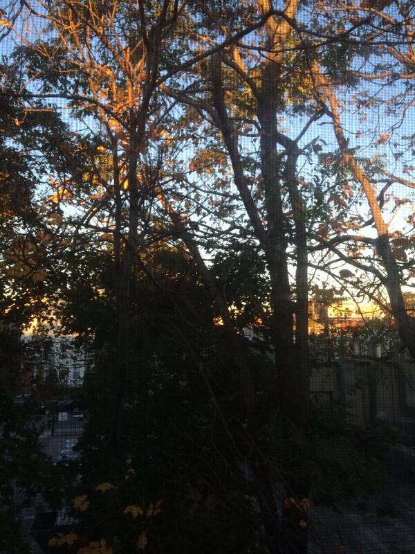 Heathafresh89's tweet photo. Good morning world!!!! http://t.co/ufiK36Tml0