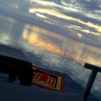 7looom_07 tweet picture