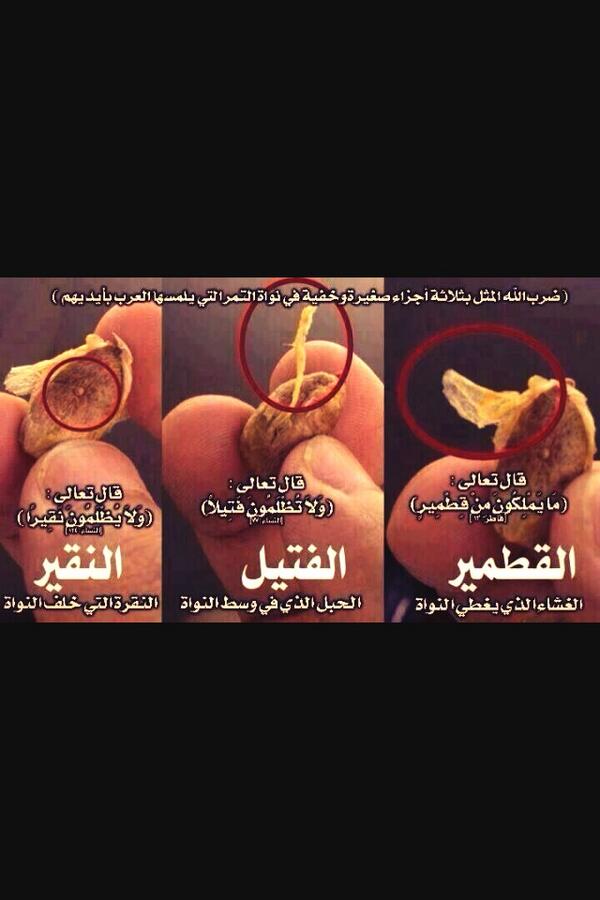 raedalzafiri's tweet photo. ✨سبحانك ربي قال تعالي :
(مايملكون من قطمير)
(ولاتظلمون فتيلاً)
(ولايظلمون نقيراً)

هل تعلم مامعنى هذه المفردات؟ http://t.co/9Hs9AVcWKV