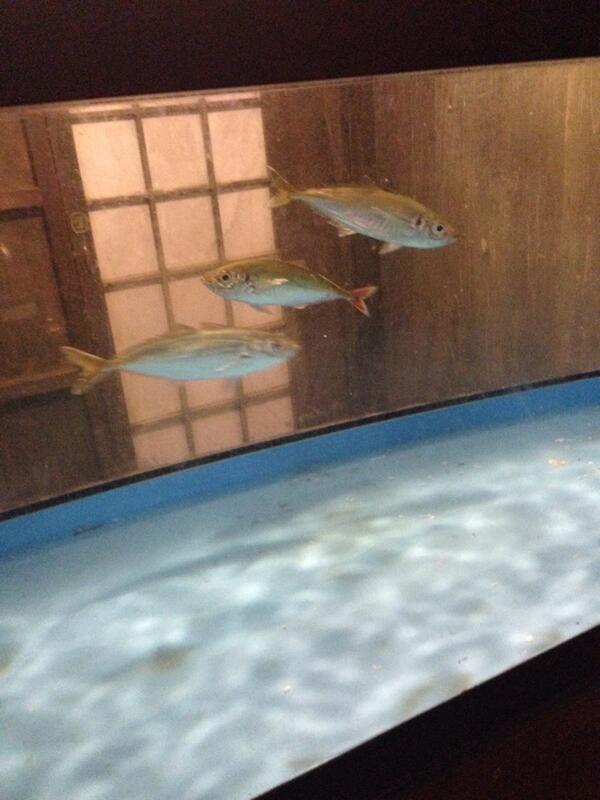 doraemonhosii's tweet photo. かつき発見！！ http://t.co/HDL5JekQyh