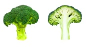 WellCall's tweet photo. WellRecipes: Broccoli Cheese Casserole http://t.co/cMpNQYKX6H http://t.co/o3Ye2n5A06