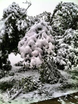blankenship08's tweet photo. @DutchenMitchell Come to Cleveland #OctoberSnow http://t.co/SkHcGlXvyl