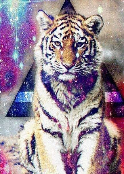 arumynova's tweet photo. http://t.co/J1Ce9ObVh3