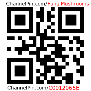 ChannelPin's tweet image. Added "Fungi and Mushrooms" channelpin.com/FungiMushrooms Showcasing the beauty of fungi and mushrooms. by @Andrew_Barrett_