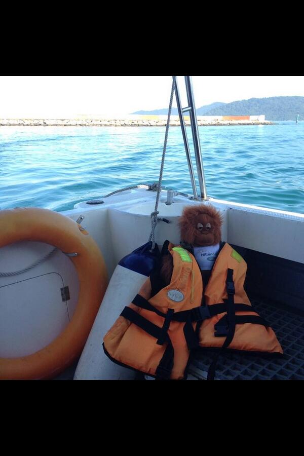 Orangeys_story's tweet image. Sam and Chris went diving, I stayed dry in the boat!! #notdaft
