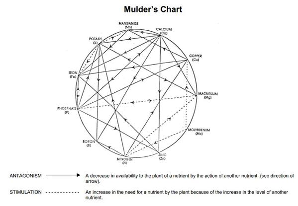 Mulders Chart