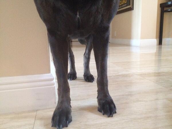 SamPopowcer's tweet image. Thigh gap #shadowedition