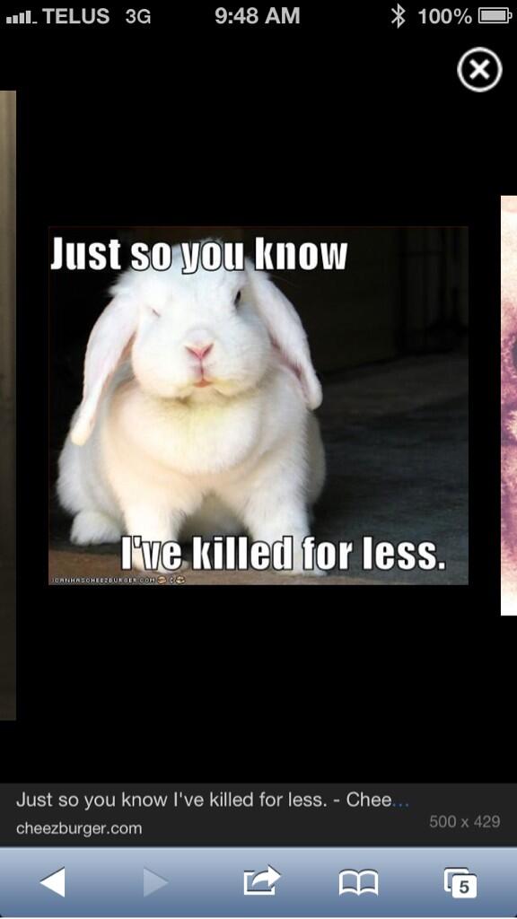 Dylan Hogstead  tweet media