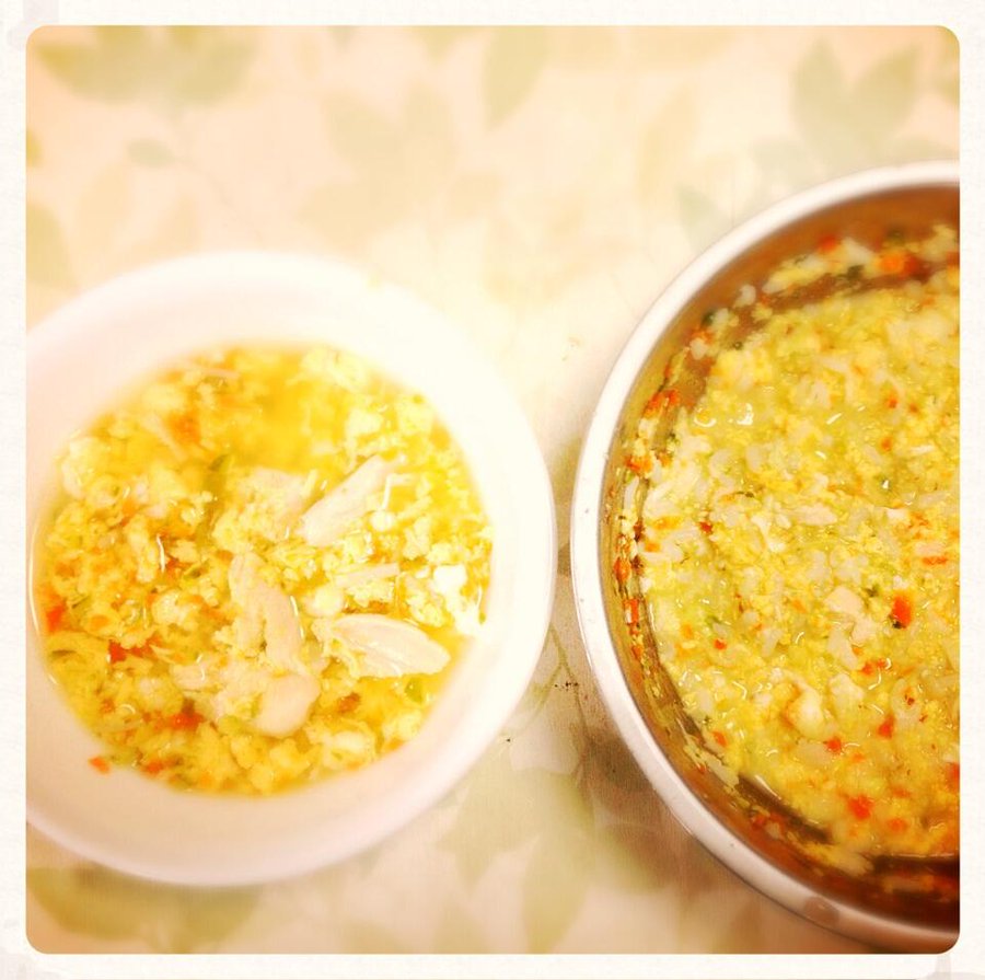 夏バテ対策に りんごを使った手作り犬おやつのレシピ５選 ドッグフードの達人