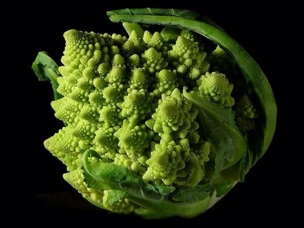 Enjoy the #math. Enjoy the #proof. But don't forget to enjoy the #broccoli.  #fractalbroccoli #romanesco