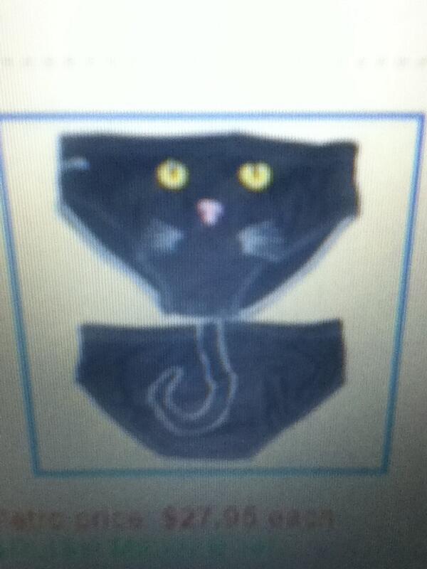 mattfurfs's tweet photo. Yes please! #swimmerstuff #racer #kittens http://t.co/75IAms2e87