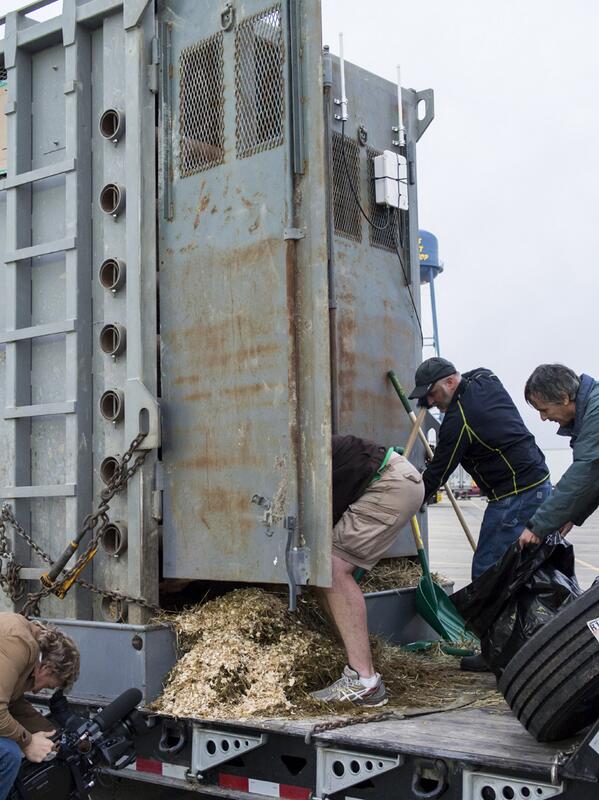 cbcfifth's tweet photo. Pixs from the road : Cleaning out the crates on a rest stop #elephantscbc http://t.co/UJWLzMBmQv