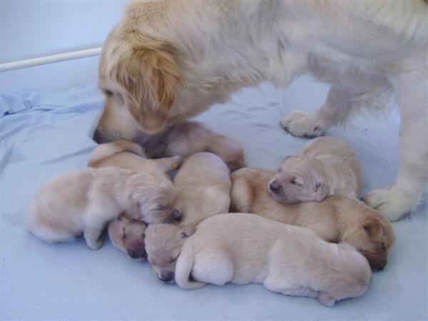 Discho44's tweet photo. Our boy's mum and brothers and sisters http://t.co/xLaM8kwTXT
