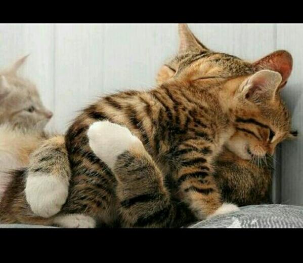 ZS_OP_'s tweet photo. @ZS_TaeSeung ♥ http://t.co/oMXUZv5t8h