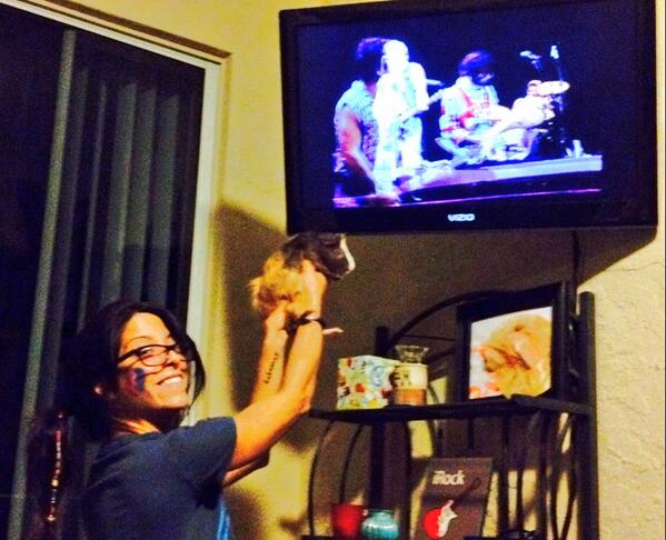 lyssa_lady's tweet image. PIGGIE PIGSTEEN meet Bruce Springsteen #bestbuds @SpringsteenandI