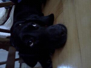 winiews tweet picture