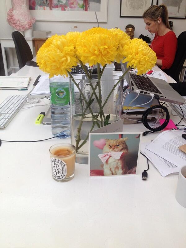 Thanks for our lovely card <a href="/katiebarontweet/">Katie Baron</a> <a href="/LouStoppard/">Lou Stoppard</a> - pride of place in the studio!!