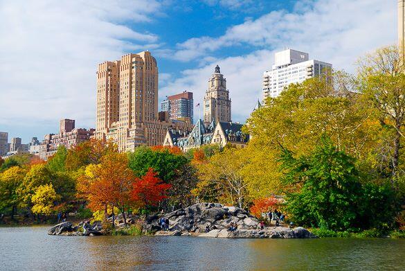 Manhattanpeachy's tweet photo. On a beautiful and crisp fall day #CentralPark! http://t.co/JjNJWF3QvR

Found at http://t.co/k1SBCyUzib http://t.co/XaMI9ZYxXd