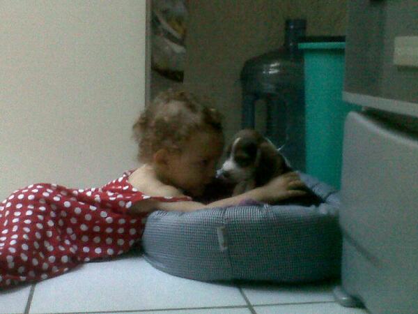 worsley83's tweet photo. So Sad just stumbled upon this photo of the wee bug and mumbo puppy RIP ... Thankfully momma called to cheer me up xo http://t.co/0nuzlIJN0G