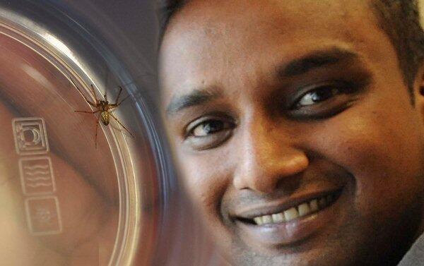 This is Bath tweet media