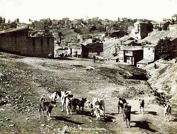 BeyazitKulesi's tweet photo. Dolapdere, 1888 http://t.co/Nr8Z6adG82