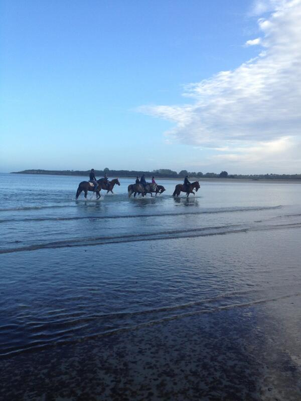 Ponies all ridden on the beach and heading home to watch @LesEtoilesdePau XC. It's a hard life!
