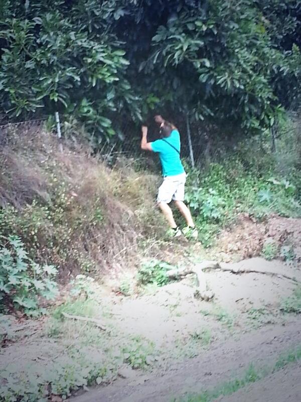 doblas_david's tweet photo. En esta foto no estoy instalando ningún toldo aquí estoy robando aguacates jjjj http://t.co/Auojmf039N