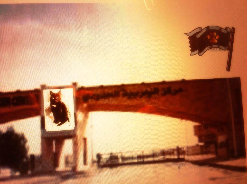 Embedded image permalink