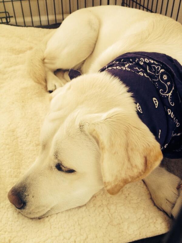 MichelleLee43's tweet image. Wearing his moms favorite color 😜 #mybaby #comebackwithme