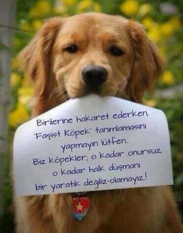 Özgür Özel tweet media