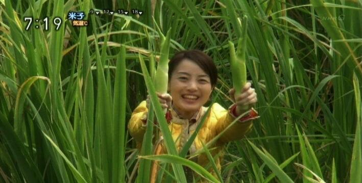 ｔｖウオッチャー Danny 鷹 おは日 旬体感 マコモタケ イネ科 三重 菰野町 江崎史恵データ 身長158cm Nhk Nhk News Http T Co Oeiozgpeps