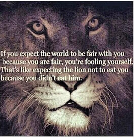 douggarforth's tweet image. Experience tells me that's often true. It's how we deal with &amp;amp; what we learn from the unfairness that matters most.