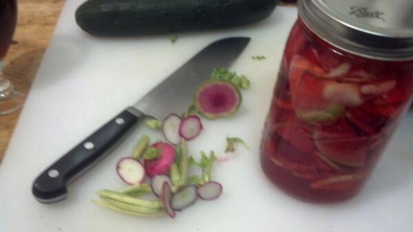 brooklynkitchen's tweet photo. Pickled watermelon radishes... http://t.co/IsF8ZwkX4N