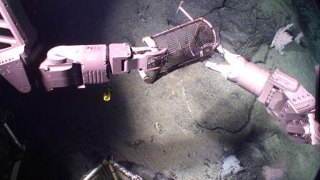 DartTurner's tweet photo. Dive 224 Sampling dive, duration 19hrs, max. depth 2132m two arm action. Kraft Predator and Schilling Titan T4 http://t.co/1SapRQh1ci