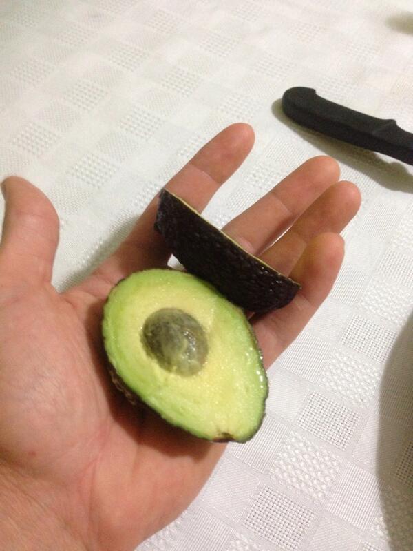 Fit_Nest's tweet image. this is the smallest avocado Ive ever seen #TinyAvocado #nomnom