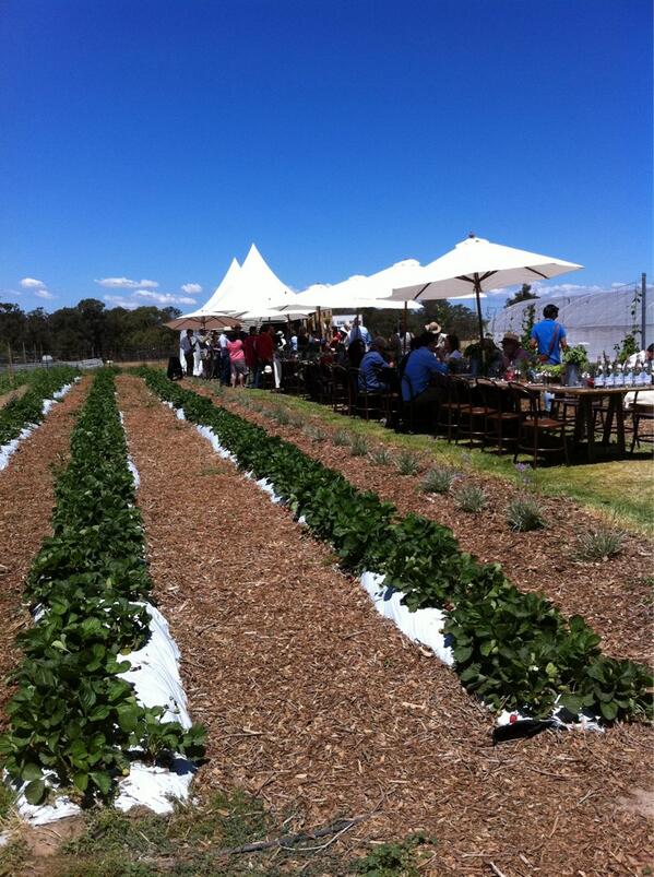 Ardyn Bernoth tweet media