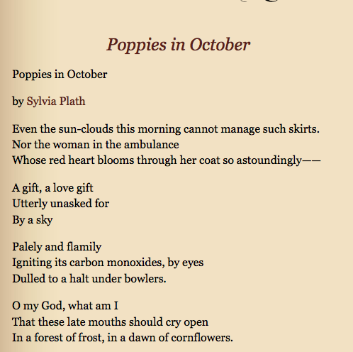 poppies in october sylvia plath meaning
