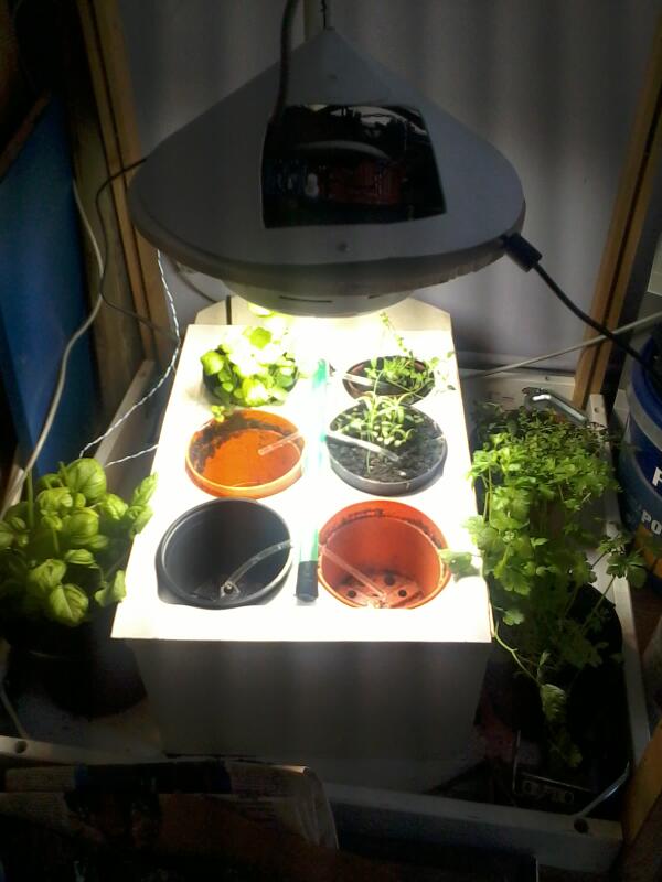 Arduino-based plant-growing system