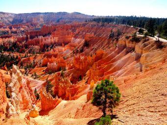 opiniaoenoticia's tweet photo. TURISMO NOS EUA  Utah, o estado dos canyons. Resenha por Mariana Ribeiro 
http://t.co/RP1PjHWqYz http://t.co/jaNNkkflPH