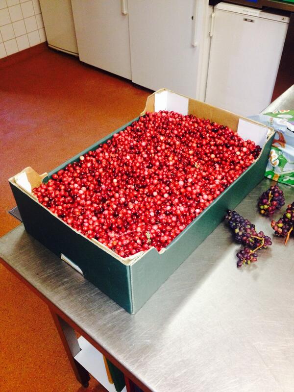 Cranberry rechtstreeks van Ameland. Hmmm