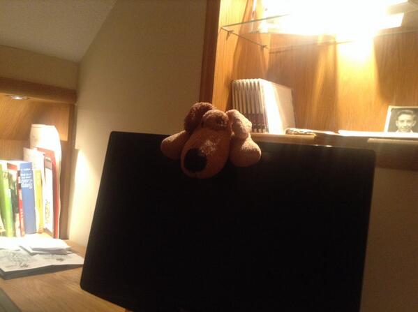 Chilled63's tweet photo. Peekaboo! http://t.co/fCkZcGgSjv