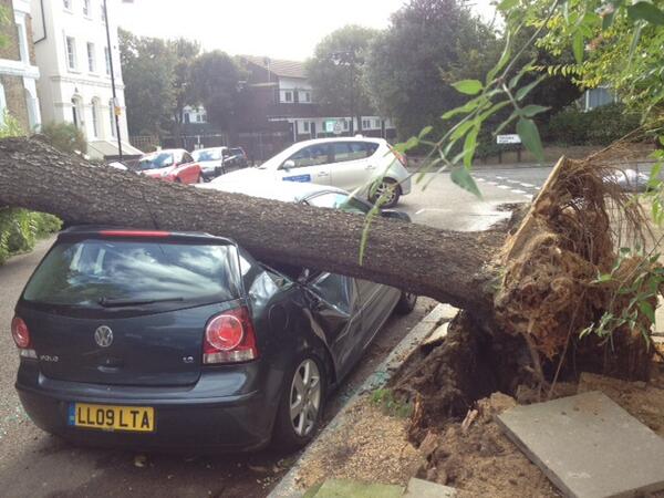 BBCNews's tweet photo. PHOTO: Uprooted tree in Archway, north London, in windy weather ahead of #UKstorm http://t.co/WvsDCUQRvr http://t.co/XGO30aXJIN