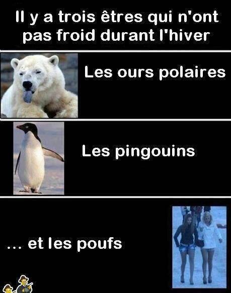 SachaPfefer26's tweet photo. J'AI RIEN A DIRE TELLEMENT QUE C'EST LA VERITER http://t.co/m71gsfaAlF