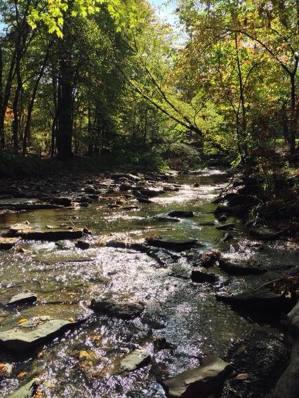 JenniferKWarden's tweet image. Hey Cleveland, please vote for Issue 80 and keep funding for our parks!#clevelandmetroparks #issue80 #nature