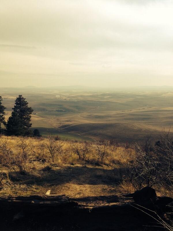 I'd say our hike today was a definite success! @34Frame  #KamiakButte #SoPretty